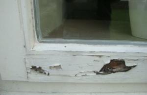 Rotten Window Frame